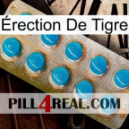 Érection De Tigre new09